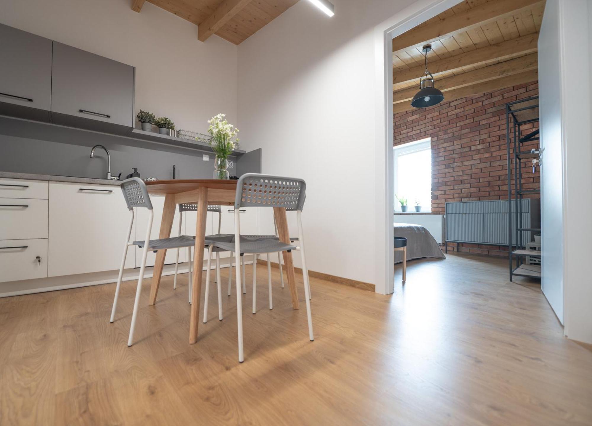 Apartamenty Mlynska 5 Bielsko-Biala Exterior foto