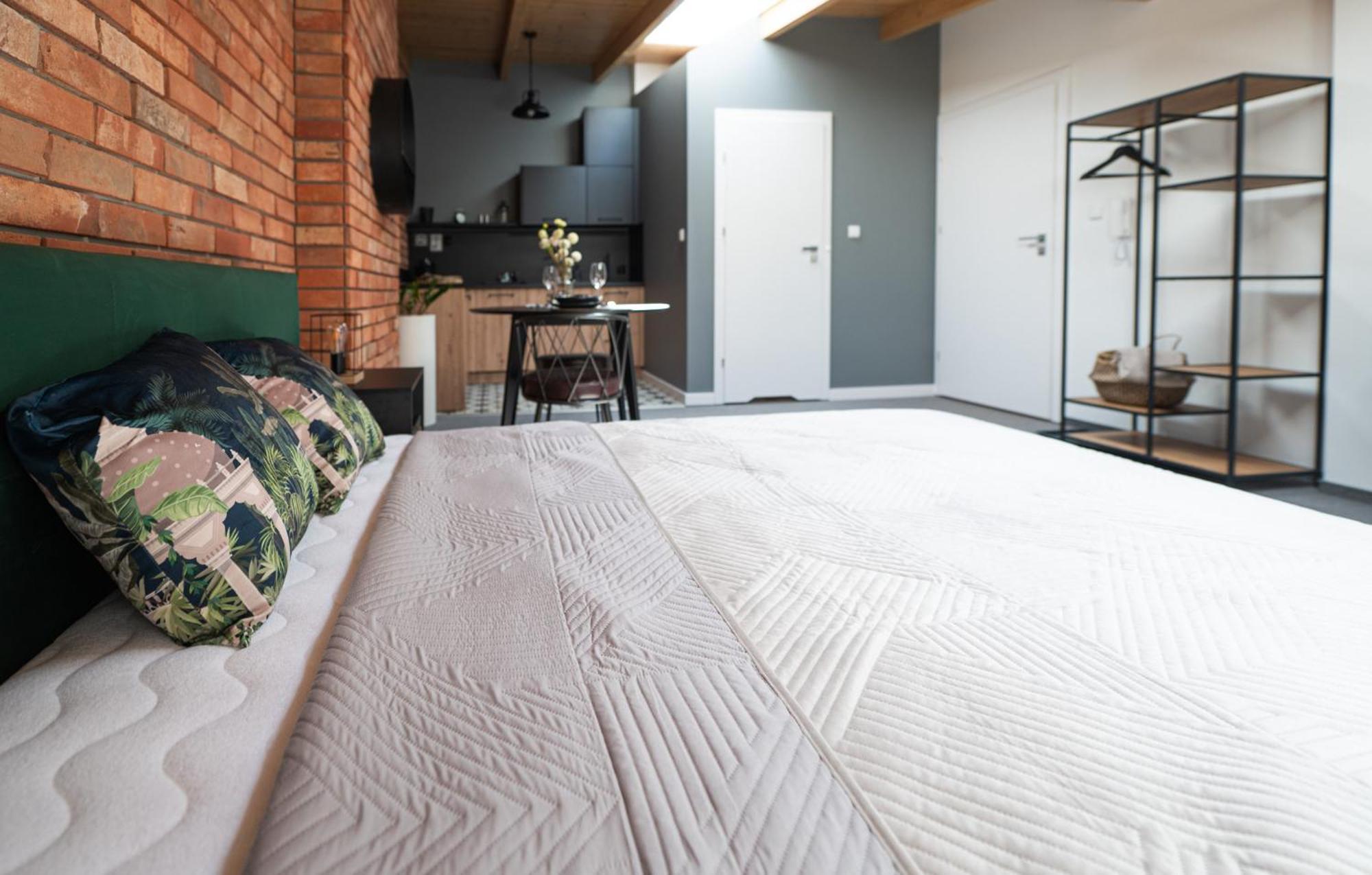 Apartamenty Mlynska 5 Bielsko-Biala Exterior foto